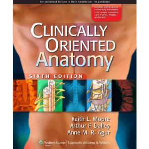 Clinically Oriented Anatomy 6th edition Keith L Moore Test bank