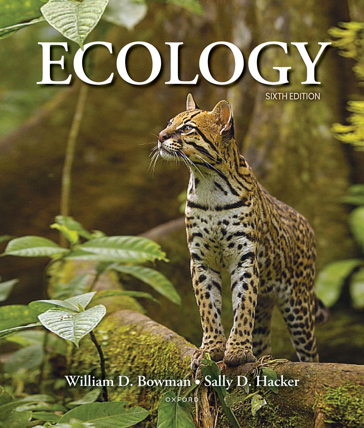 Ecology 6th Edition Bowman Test bank