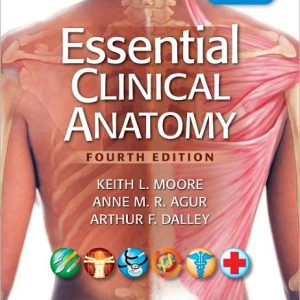 Essential Clinical Anatomy 4th edition Keith L. Moore Test bank