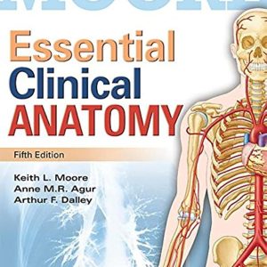 Essential Clinical Anatomy 5th Edition Keith L. Moore Test bank