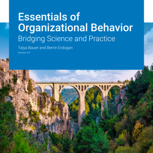 Essentials of Organizational Behavior Bridging Science and Practice Version 4.0 By Talya Bauer Instructor Manual