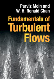Fundamentals of Turbulent Flows Parviz Moin Solution manual