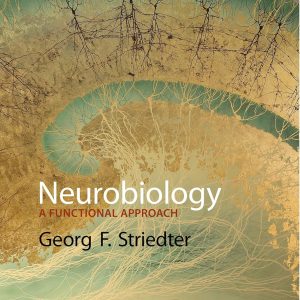 Neurobiology A Functional Approach 1st Edition Georg F. Striedter Test bank