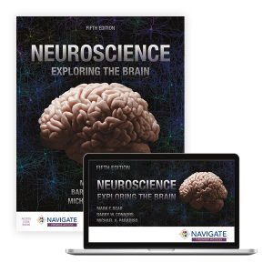 Neuroscience Exploring the Brain Fifth Edition Mark Bear Test bank