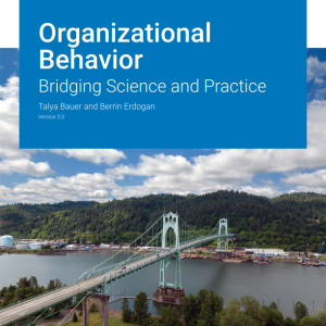 Organizational Behavior Bridging Science and Practice Version 5.0 By Talya Bauer Instructor Manual