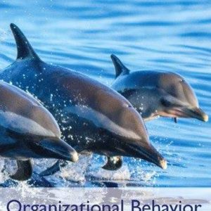 Organizational Behavior Global Edition 19th Edition Stephen P. Robbins Instructor manual