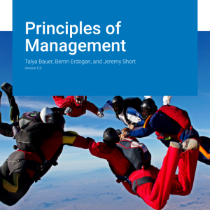 Principles of Management Version 5.0 By Talya Bauer Instructor Manual