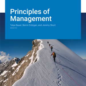 Principles of Management Version 6.0 By Talya Bauer Instructor Manual