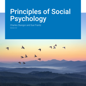 Principles of Social Psychology Version 3.0 By Charles Stangor Instructor Manual