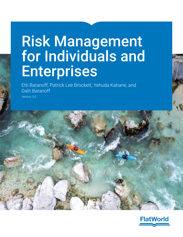 Risk Management for Individuals and Enterprises Version 3.0 By Etti Baranoff Test bank