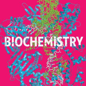 Biochemistry Second Edition by Roger L Miesfeld test bank